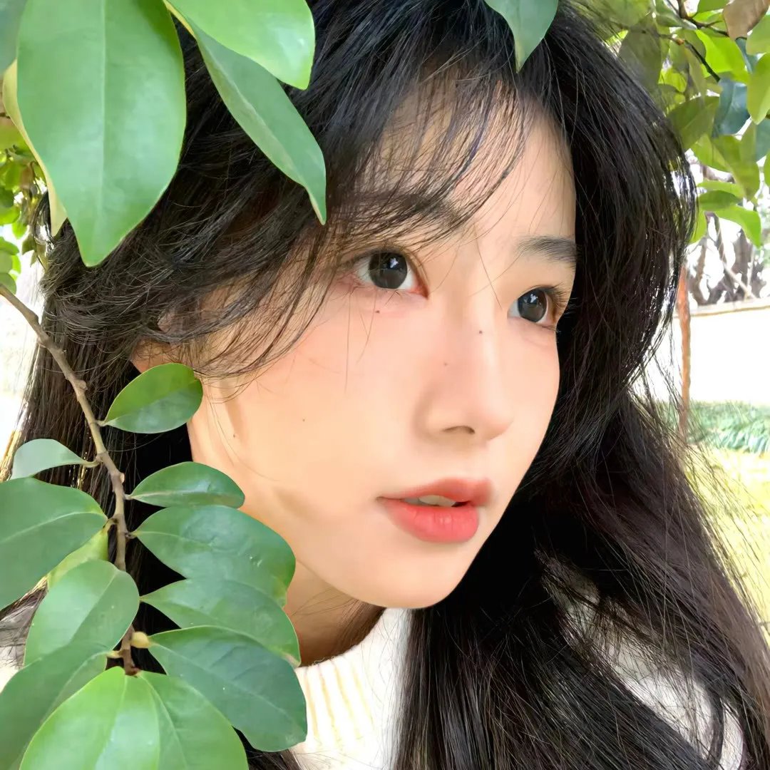 格桑花开的时候